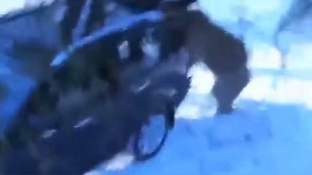 Медведь охотник смотреть онлайн