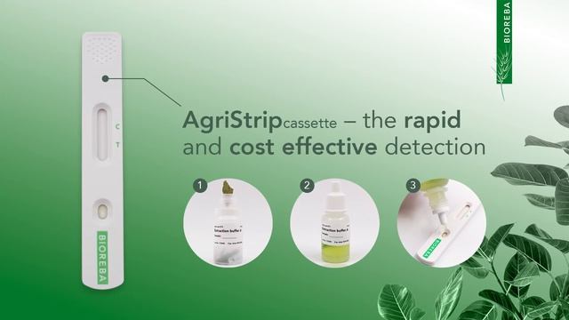 AgriStrip cassette (lateral flow test) for Tomato brown rugose fruit virus (ToBRFV) смотреть онлайн