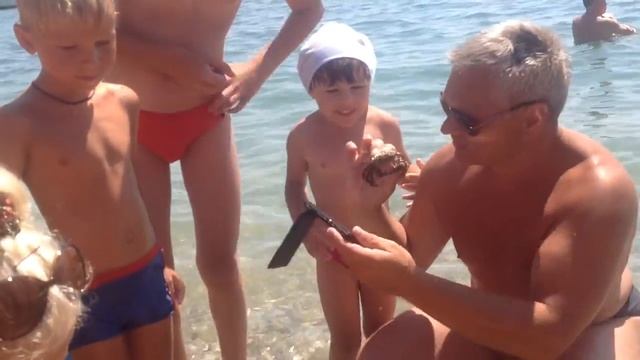 trim 9727F6A7 A4CB 42ED A3CE 6B76B1347B97 смотреть онлайн