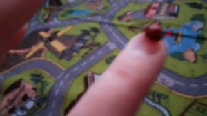 я приручила божью коровку и чем её кормить