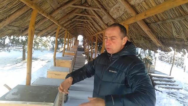 Часть 3 экскурсия. Зимовка пчёл у Петра и ещё много интересного о пчёлах. смотреть онлайн