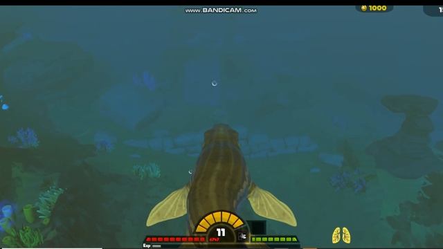 Feed And Grou Fish играем за мозазавра или типо такого