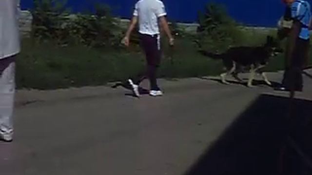 09 09 12 ПК Краснодар 037 смотреть онлайн