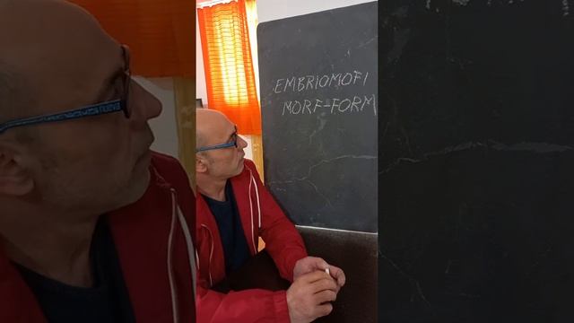 5. Gjuha e Arbrit. смотреть онлайн