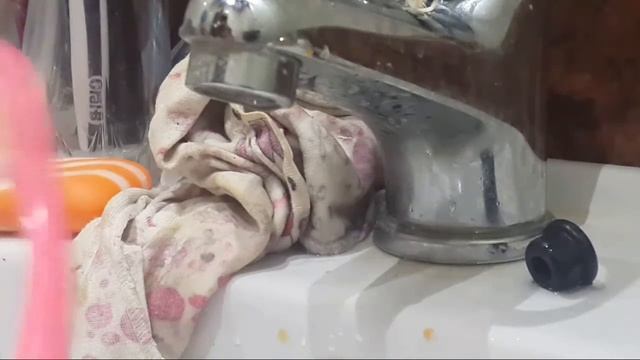 Песня хомяков 1 серия смотреть онлайн