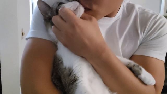 Surprise kitty grab смотреть онлайн