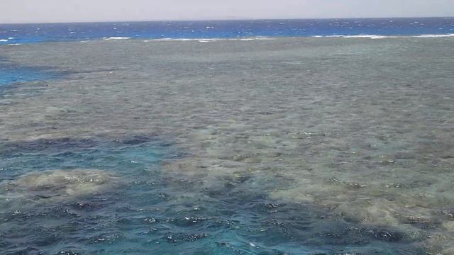 Морская прогулка Dolphin House Hurghada. Egypt. Red Sea