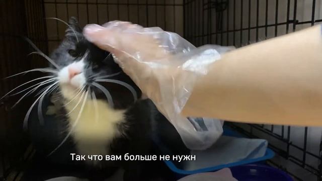 ФРАЙДИ смотреть онлайн