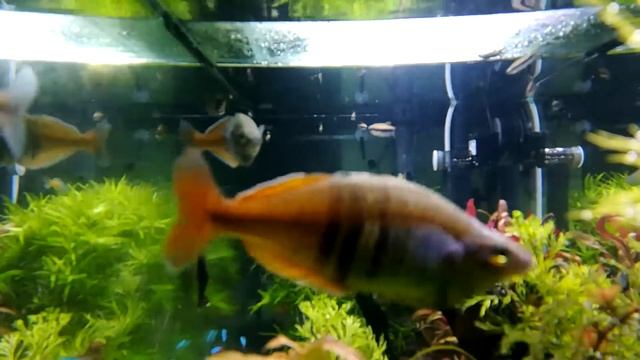 Live video 16.07.2019 19:11:43 смотреть онлайн