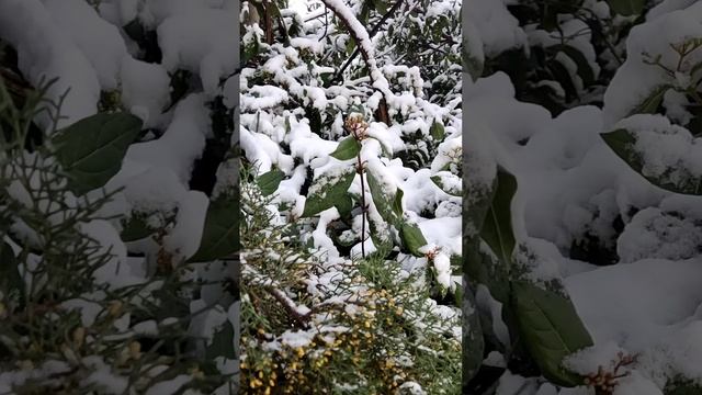 Ялта 💖💖💖 Зима ❄️❄️❄️ смотреть онлайн