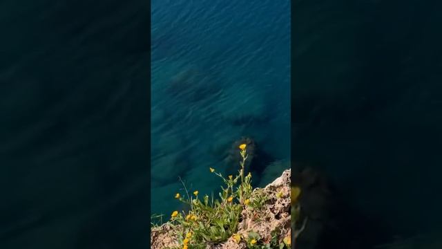 722 1021023 mp3 смотреть онлайн