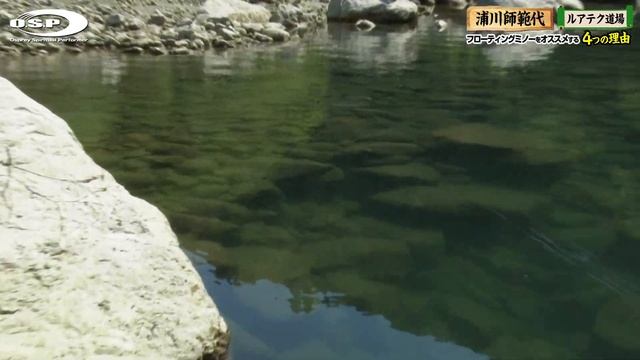 【ルドラ130F】フローティングミノーをオススメする４つの理由【浦川師範代 ルアテク道場】 смотреть онлайн