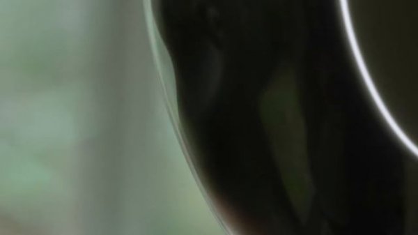 Новый робот-гуманоид NEO Gamma