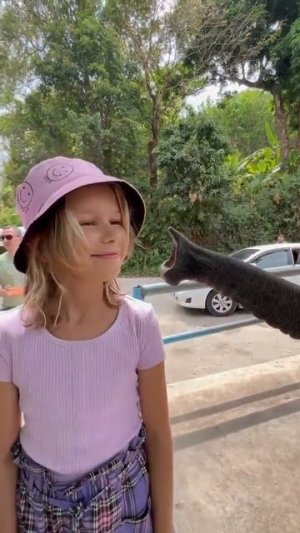 ева    маш  и  хобот  слона