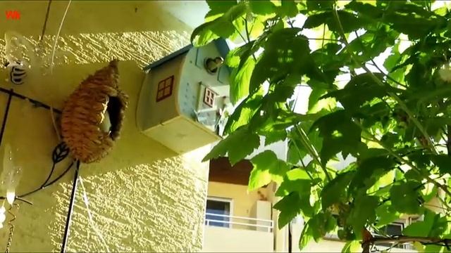 Третье поколение покидает гнездо (нем. Die dritte Generation verlässt das Nest) смотреть онлайн