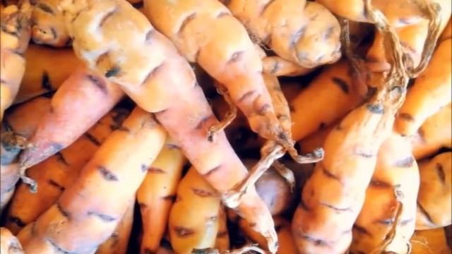 Medicina natural contra la inflamacion de la prostata смотреть онлайн