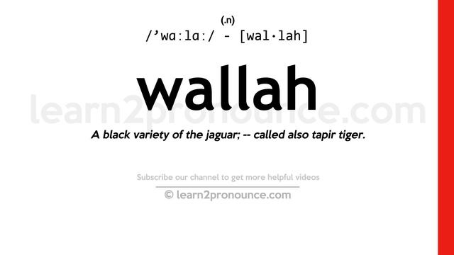Pronunciation Of Wallah | Definition Of Wallah