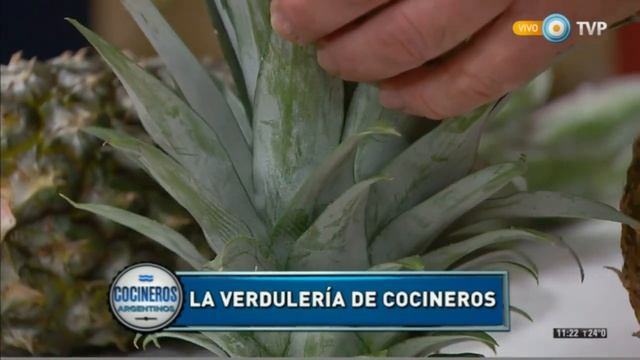 Todo sobre el ananá y la piña смотреть онлайн