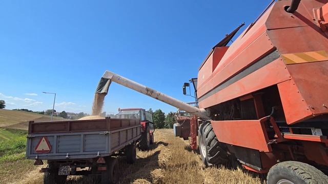 Bizon BS Z110 - Żniwa 2024 смотреть онлайн