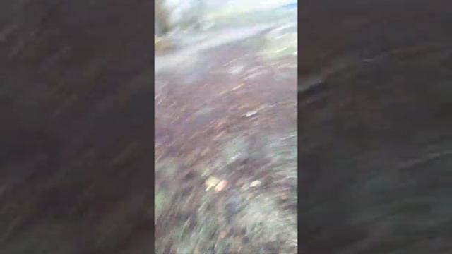 Прятки смотреть онлайн