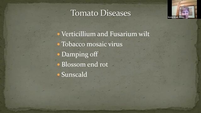 MGNC video Totally Tomatoes 03 20 2021 смотреть онлайн