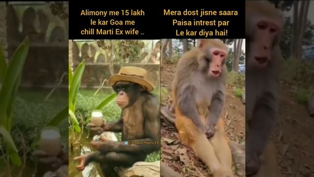 Ha Ha Ha - Modern Wife And Husband  ..
