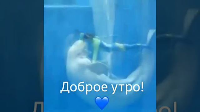 Доброе утро смотреть онлайн