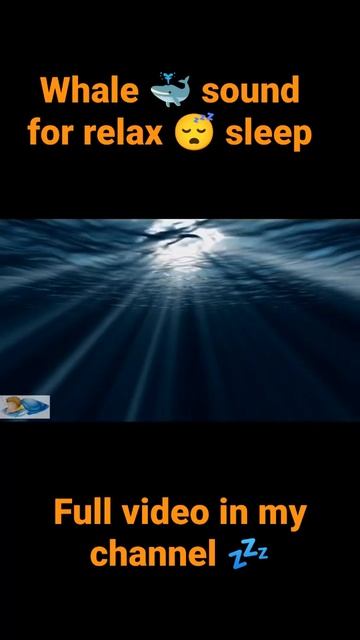 whale sound for deep sleep #sleep #youtube #relaxing #whale смотреть онлайн