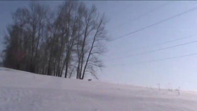 заяц бах смотреть онлайн