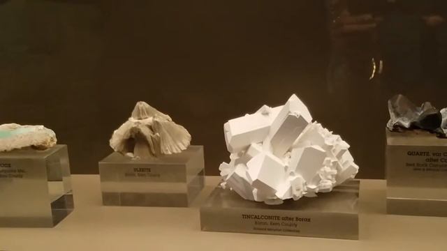 Minerals, gem stones and shinny expensive things at the Aquarium of the Pacific смотреть онлайн