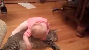 Самый спокойный кот , ребенок делает с ним что хочет ПРИКОЛ