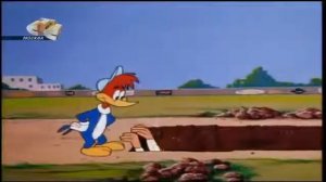 Дятел Вуди Вудпекер с 96 по 100 серию