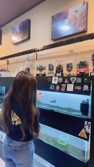 Keppres Cewek #shorts #channa #pulchra