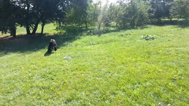 Пуллеры нам очень понравились :) смотреть онлайн