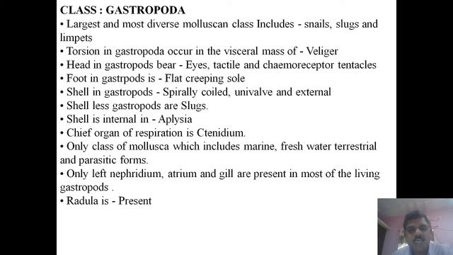 Classification of Mollusca смотреть онлайн