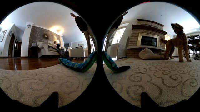 Mi sphere test 1 смотреть онлайн