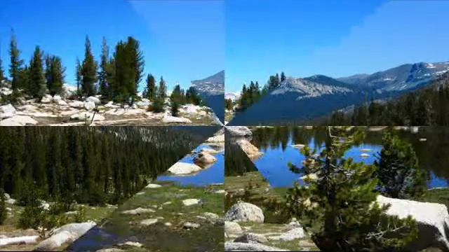 BRYAN_HARWOOD & THE OLD SEQUOIA'S WISDOM смотреть онлайн