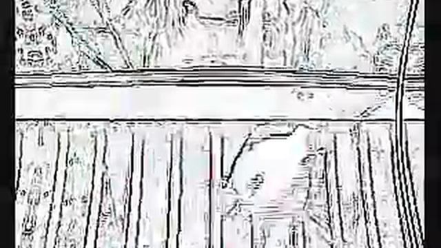 how to keep squirells off you deck upgraded смотреть онлайн