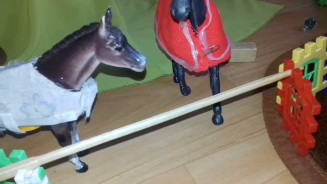 Жизнь ЧКСК ЯНТАРЬ.(4) смотреть онлайн