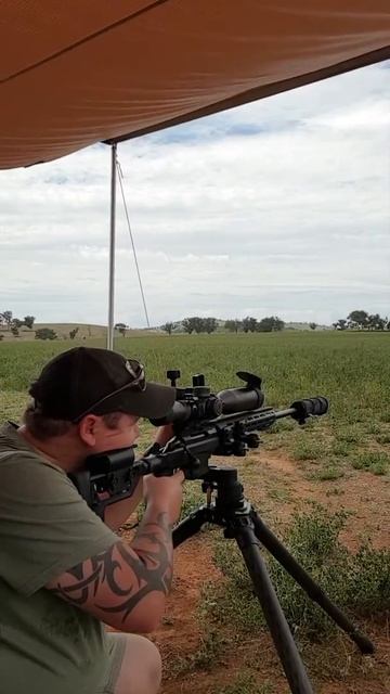 Tikka Tac A1 suppressed смотреть онлайн