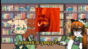 реакция кленовицы на будущее (реакция котов воителей #возрадимрукв