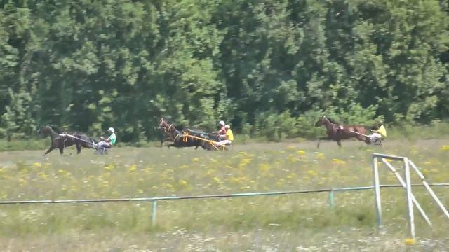 06.08.2017 г. 2-й заезд смотреть онлайн