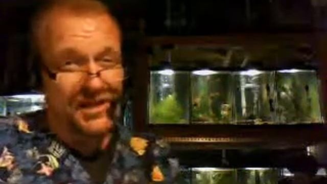 Koi & Pond Fish Diagnostic Process - Same Order EVERYTime смотреть онлайн