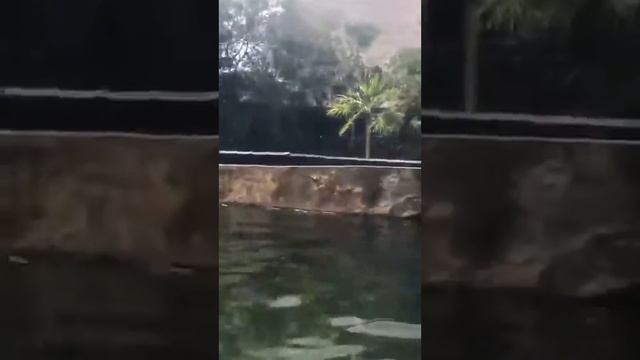 Mexican River Adventure смотреть онлайн