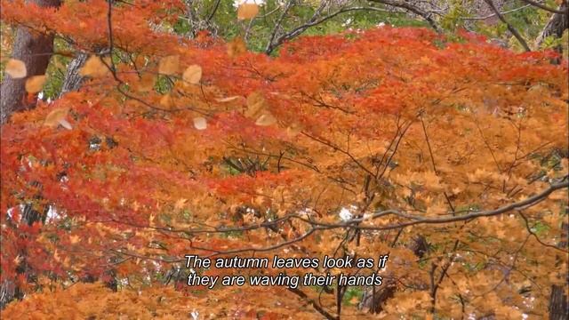 Japan Travel Fukushima-TONOHETSURI STATION- смотреть онлайн
