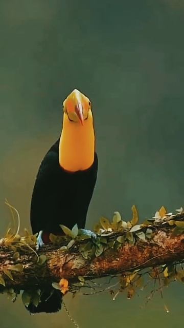 CALLING FRIENDS смотреть онлайн