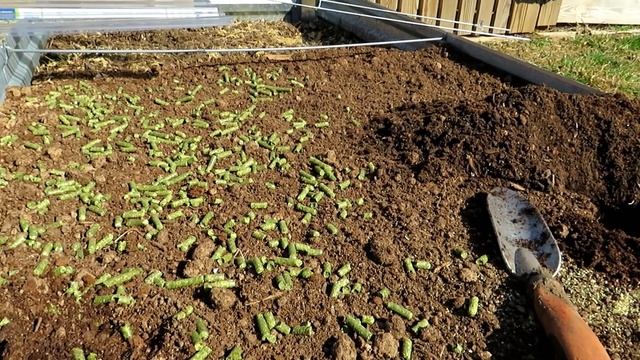 How to Use Alfalfa Pellets, Save Money & Get A Natural Plant Growth Hormone: Two Minute TRG Tips смотреть онлайн