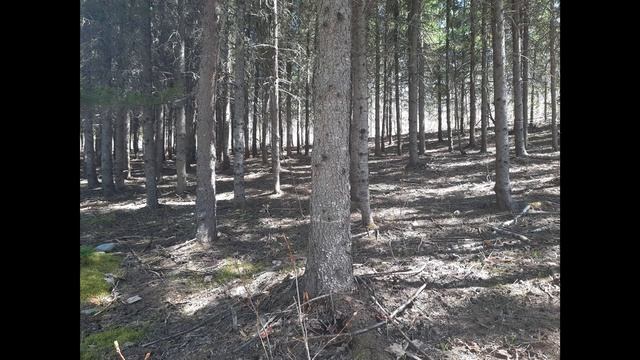 Je sais que tu es là Saint Esprit смотреть онлайн