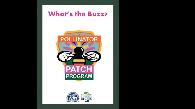 The Purpose Driven Landscape - Attracting Native Pollinators and Birds смотреть онлайн