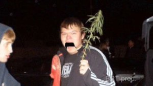 Крик тарзана